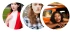 playmarket picture